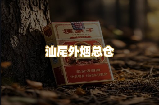 汕尾外烟总仓