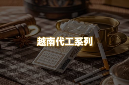 越南代工系列